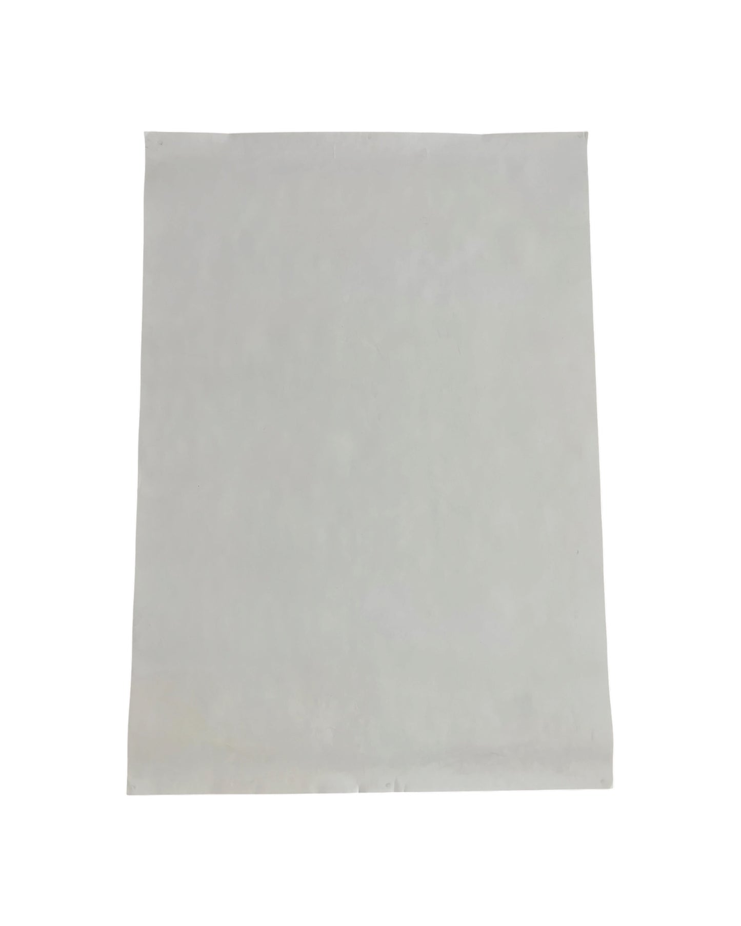 WSOY Moomin Poster