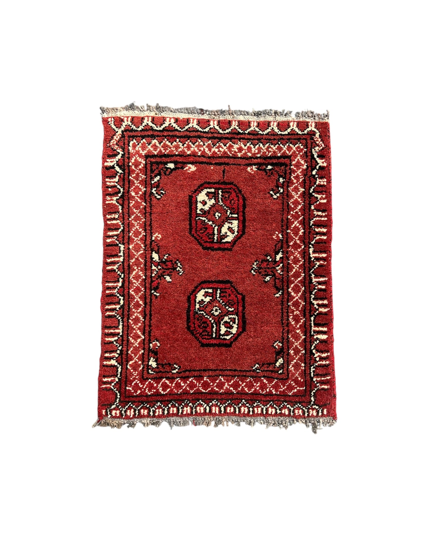 Hand Knotted Oriental Wool Rug