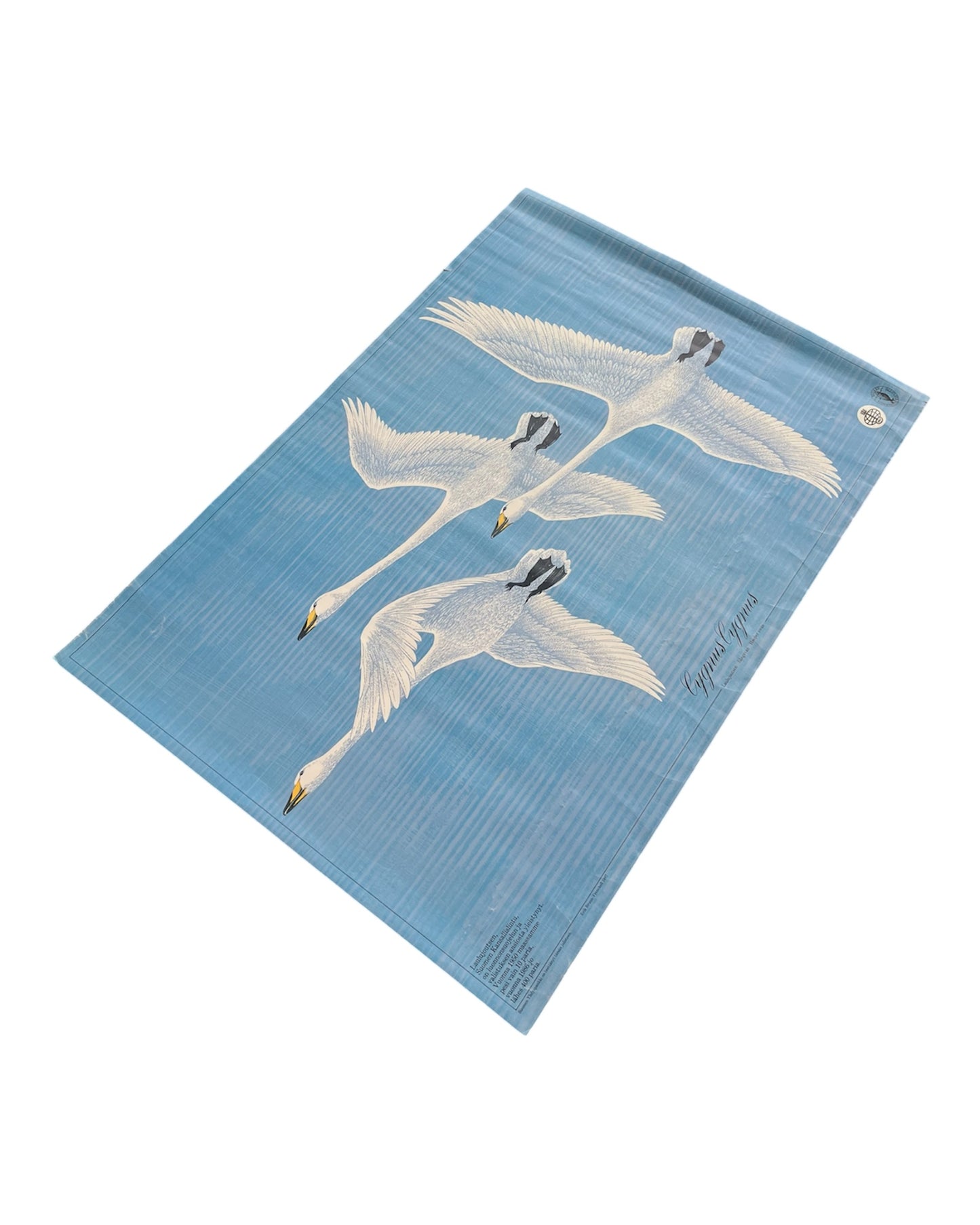 Cygnus Cygnus Poster