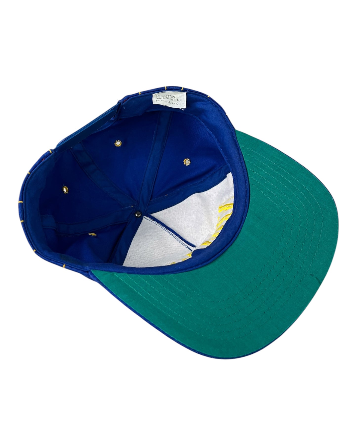 Nirvana Nevermind Cap