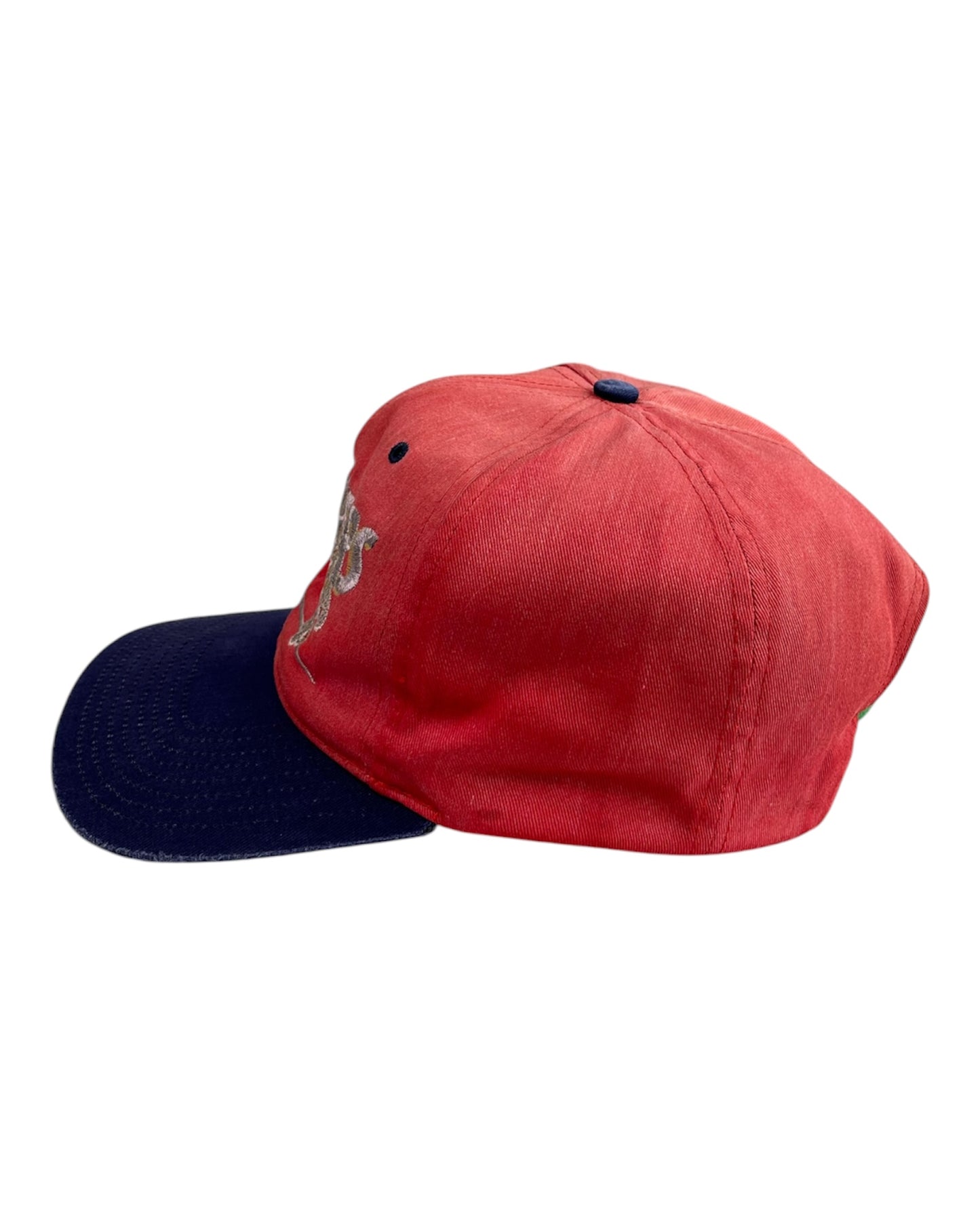 Florida Panters Cap