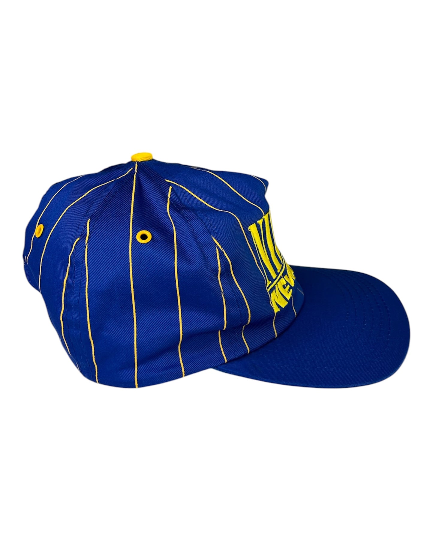 Nirvana Nevermind Cap