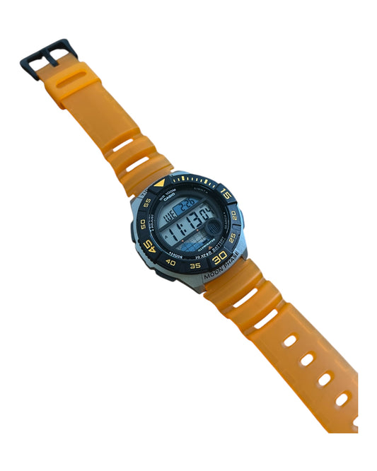 Casio Watch