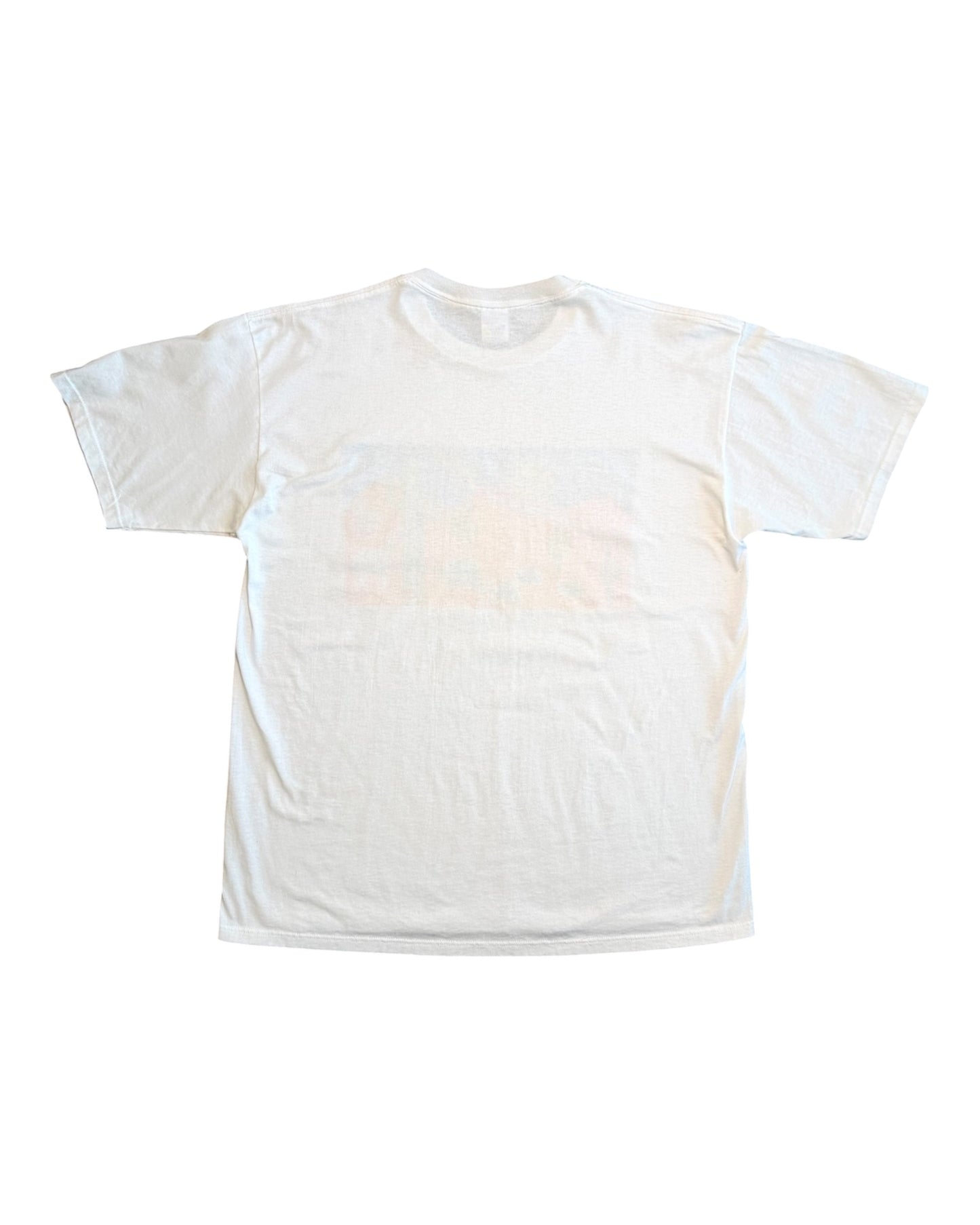 Phoenix Arizona 1994 T-Shirt (L/XL)