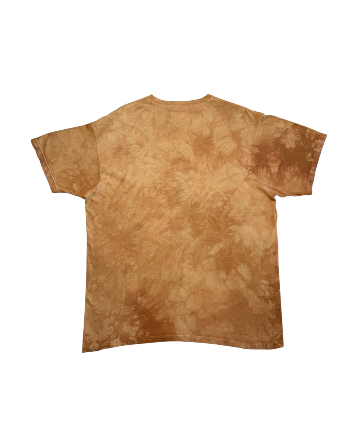 The Mountain T-Shirt (XL)