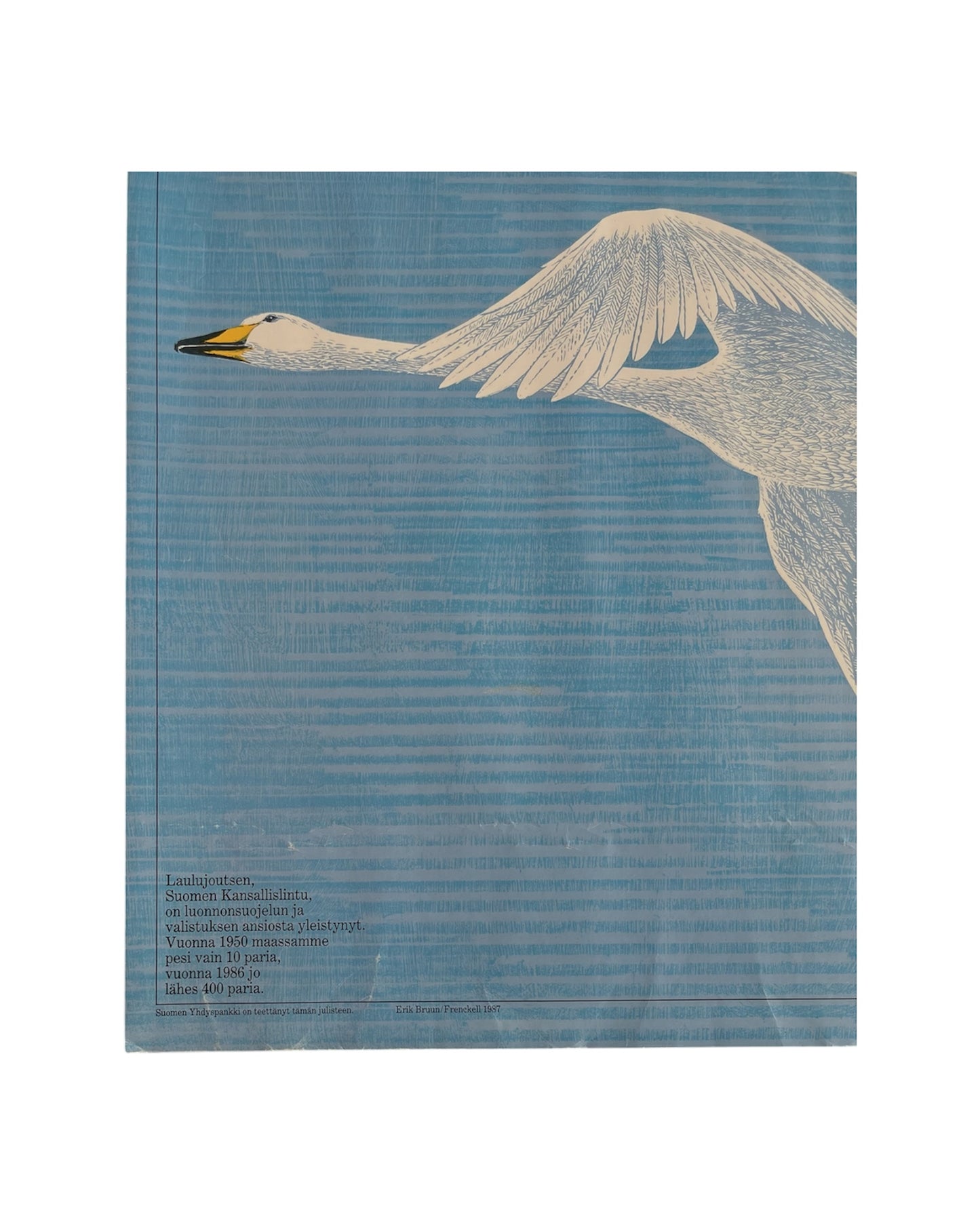 Cygnus Cygnus Poster