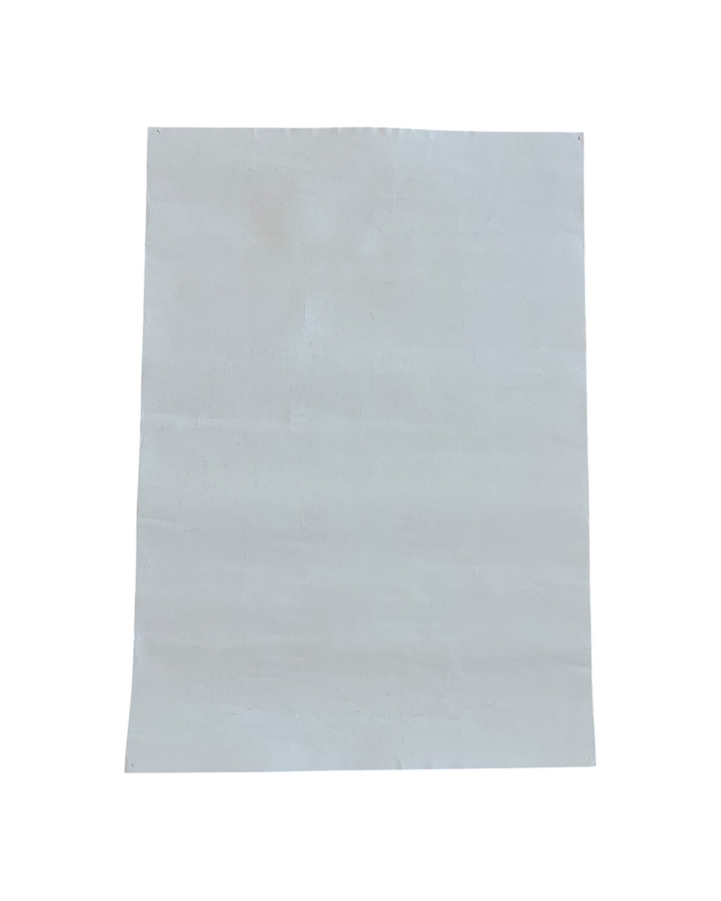 Osmo Omenamäki Kuvan Taikoja Poster