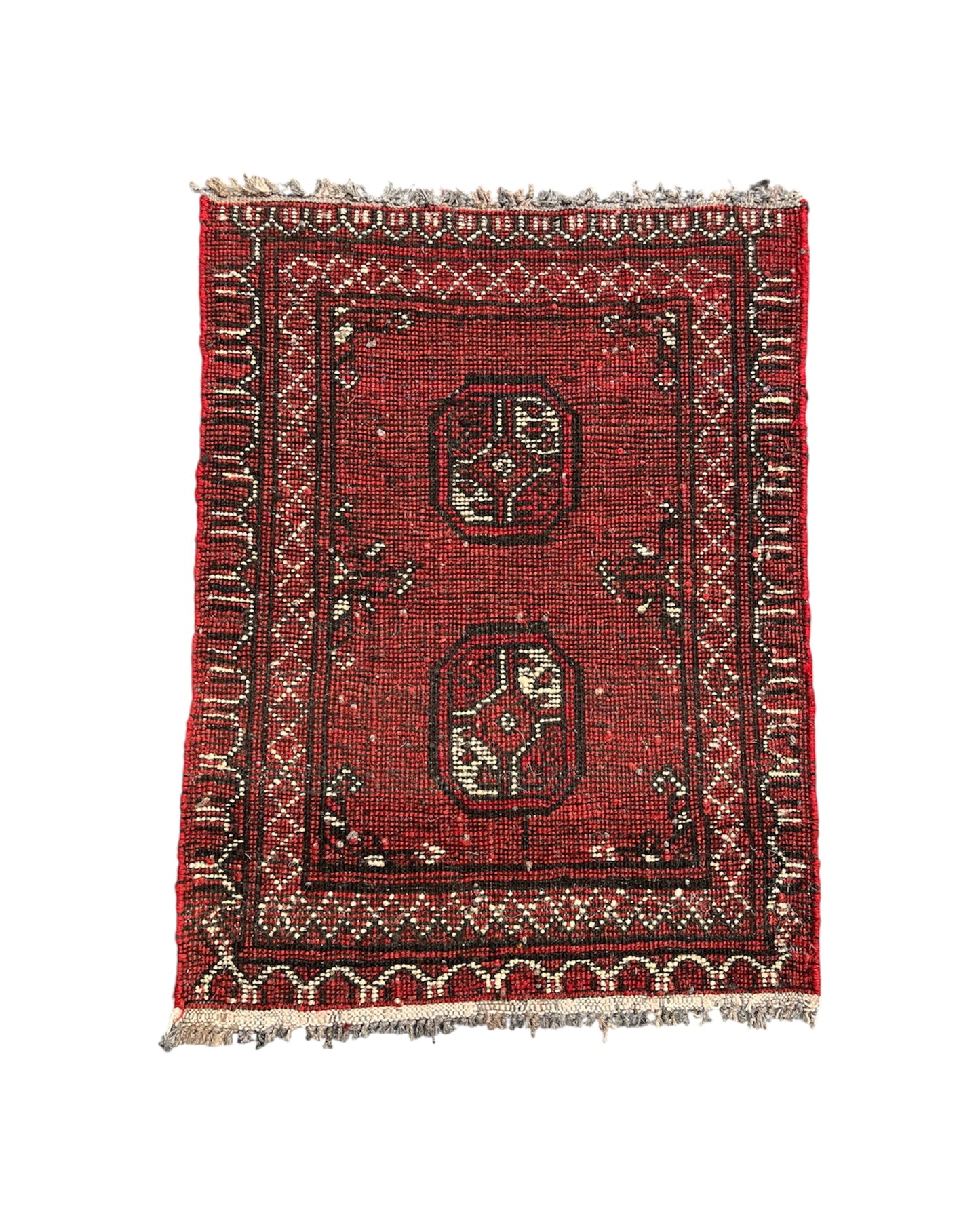 Hand Knotted Oriental Wool Rug