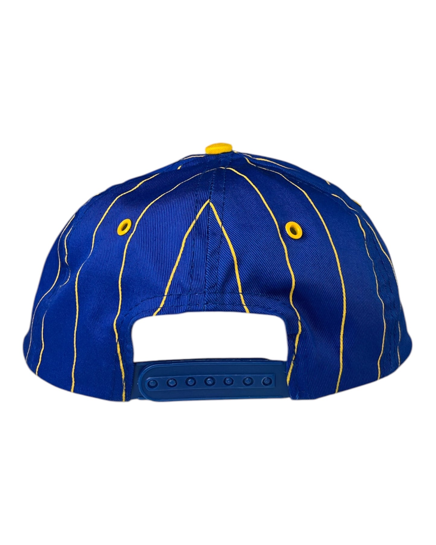 Nirvana Nevermind Cap